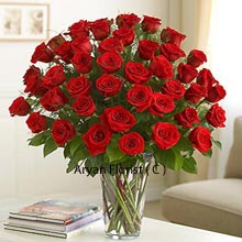 Buying roses for someone doesn't take much contemplation, as it is the easiest, trendiest and always the most contemporary choice of showing love and care. This 36 red rose bunch reflects togetherness and shows unbound love and its existence. The vase symbolizes the strong base into which these red roses are embedded and which also makes it more attractive. Buy this bunch now to see the receiver brimming with smile and mirth which these roses bring along!