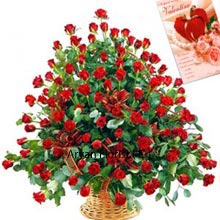Red Roses epitomizing nothing but happiness and are put together in this basket so that you may place an order to surprise your beloved. A set of 100 Red Roses are just perfect for Valentine's Day when you can reflect your audacity officially to express your emotions. With this large arrangement of roses, you are certain to fair well and be lucky in love. For the rest you want to express, you get a Valentine's Day Card that you may fill further with romantic messages. Buy now!