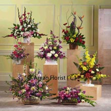 Assorted flowers stand out from all other gifts in a single shot. Surprise the persons in your mind by these beautiful bouquets of exclusive assorted flowers that bring smiles to their faces. This present contains 6 different arrangements of Assorted Flowers, comes as a memorable gift to your special ones. No matter what the occasion is, flowers are there to win hearts of every people. Share this token of appreciation, love and care and make them cherish for lifetime.