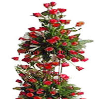 The more the merrier! This four feet tall arrangement of 300 red roses makes for a grand romantic gesture that is sure to charm anyone. Each flower is arranged in a manner that it's beauty is prominent. Green leaves and fillers add to the design of this arrangement. This one is perfect for a proposal, an anniversary, a wedding gift or a birthday gift for the one you love. Fresh misty smell of 300 red roses is sure to overwhelm any space.
