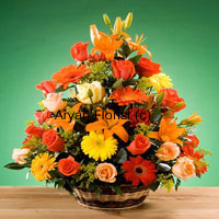 The bright hues of these various colored roses, gerberas and other seasonal fillers you have a bang on choice! With this basket you are sure to bring more than a smile to anyone you wish to present this delightful basket of flowers. The striking colors of gerberas and the roses reveals the story of your love which goes through various shades in its lifetime. From the first meeting to the various levels, this basket of flowers is very enchanting.