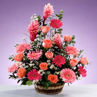 Dazzling red colors of this basket of roses, gerberas and other assorted seasonal flowers indicates the desire to be the one you love, which could be your mum, dad, sister, brother or the special friend in your life. You may give this to your mum on her birthday or mother's day when you are away and feel the dire need to be with her. This amazing basket will bring mirth and joy to your loved ones life