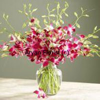 An arrangement that will easily impress, this one is created with orchids and seasonal fillers in a glass vase. The magnificence of each orchid stem is clear, while the fillers add style and charm. The arrangement will make any space stand out once placed on a tabletop. Order this to send your wishes to your spouse on your anniversary or to your friends and family on their anniversary.