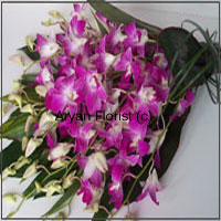 This enchanting harmony of purple orchids and seasonal blooms to join the party is assorted to impress! Held together with long fresh green leaf stems, the orchids and seasonal flowers are specially chosen to design this bouquet. Adding to the charming look is the mesmerizing fragrance of fresh blooms. Sprinkle some misty water droplets and this arrangement will revitalize any room. It remains as fresh as it arrived at your doorstep, for days.