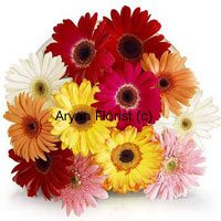 Twelve Assorted Gerberas in different colors fulfils the hollow of your heart with magnitude of love, care and respect. These various colors of the flowers symbolizes these heartfelt emotions giving them a tangible shape. Through these flowers, the emotions become real and one can feel the intensity of these otherwise intangible ways to prove that you are present in all good and bad times. So before leaving for a new city, this can be your assurance present.