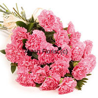 Keeping it pink, this bunch of 24 carnations and greens makes for a simple and elegant gift to send wishes on the occasion of anniversary. The long stem flowers are bunched together to create a drama of each flower getting a special place, while a fancy satin ribbon holds them all together. The flowers will remain fresh for days when placed inside a vase. Order this to send your wishes to friends, family or your own spouse.