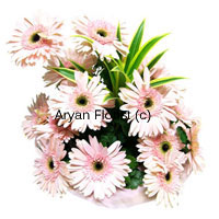 Somewhere between red and white, the pink gerberas (fifteen in number) are an endearing way to express feelings. The hint of green perfectly complement the pink like you complement each other. This is definite way of making that distinctive mark in your lover's heart and soul. So embark upon this journey of love with a chariot of pink gerberas away from the worldly affairs, just the two of you! What are you waiting for? order now!
