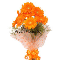 The incredible way of making way into the heart of people you love, adore or admire is this bunch of lovely orange gerberas which you buy with us. These flowers are lively and are sure to make the heads turn when you carry it to your destination. Gifting these Orange Gerberas (twelve in number) is the most quintessential way to say what you mean as it comes straight from the heart. Place your order now!
