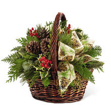 Assorted holiday greens, variegated holly, natural pinecones, red berry picks and cinnamon sticks are stupendously put together for that aromatic welcome that each season looks forward to. Each natural green and flowers present in the basket signify the love and eagerness of a festive season. The aroma of the cinnamon recalls the winters and the celebration associated with it, making this arrangement an apt one! All this put together in a dark brown bamboo basket that is decorated with the Ivory holiday ribbon. (Please Note That We Reserve the Right to Substitute any Product with a Suitable Product of Equal Value in Case of Non-Availability of a Certain Product)