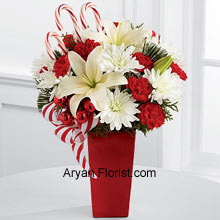 White Asiatic Lilies and chrysanthemums are distinct because of their comforting white color. The red mini carnations, assorted holiday greens, red glass balls, three candy canes and festive ribbon are consummately placed and arranged in a red ceramic vase. All this is arranged just for you to embrace this season with splendor and merriment. This holiday season, pick this to send wishes to others and enjoy the comfortable holiday season with our creation that is made just for you! (Please Note That We Reserve the Right to Substitute any Product with a Suitable Product of Equal Value in Case of Non-Availability of a Certain Product)